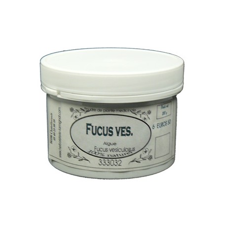 FUCUS VESICULEUX ou VARECH Plante Poudre