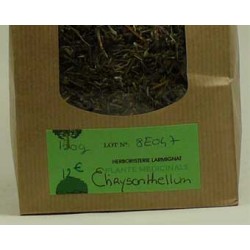 CHRYSANTHELLUM americanum paquet de 150 g