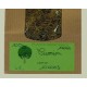 CUMIN paquet de 100 g