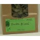 MENTHE POIVREE feuille paquet de 25 g