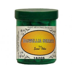 BOSWELLIA SERRATA 500 mg Boite de 100 gélules