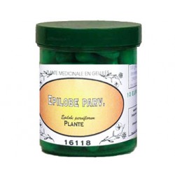 EPILOBE PARVIFLORUM  300 mg
