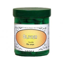 OLIVIER feuille BIO 350 mg