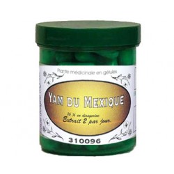 YAM DU MEXIQUE 450 mg Extrait Sec