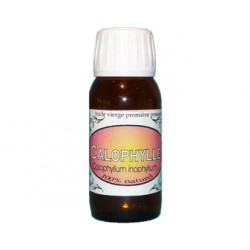 CALOPHYLLE huile vierge première pression