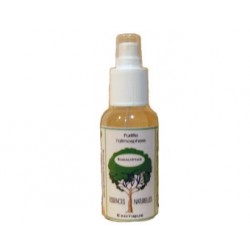 Assainisseur EUCALYPTUS flacon vapo de 100 ml