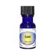 CARVI Carum carvi flacon 15 ml