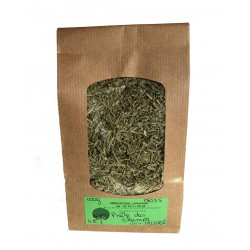 PRELE DES CHAMPS plante paquet de 100 g