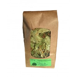 TILLEUL de Carpentras super bractée paquet de 35 g