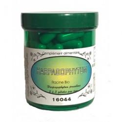 HARPAGOPHYTUM 450 mg