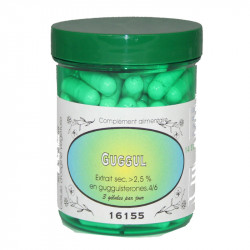 GUGGUL 500 mg Extrait sec